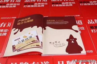 视道品牌策划助力 从视觉到战略，让品牌自己会说话